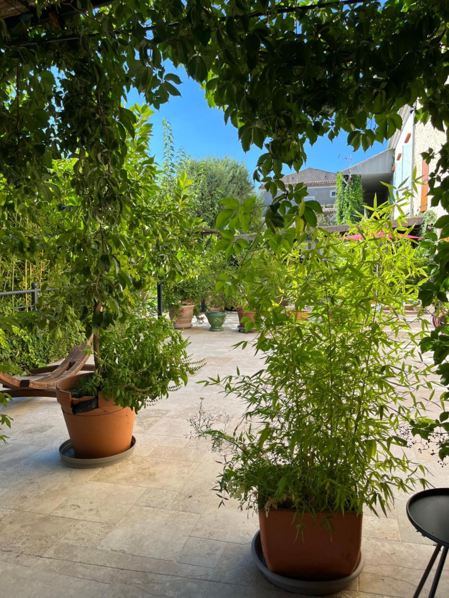 Ferienwohnung La Bergerie Domessargues Exterior foto